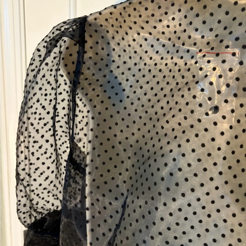 Black Polka Dot Sheer Blouse.
NWOT - Picture 5 of 8